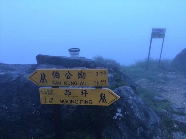 《波斯王子失落的王冠》蛇鸟与沙之传说收集攻略