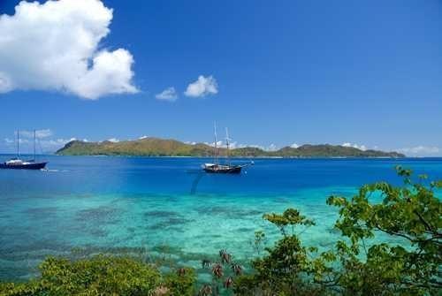 夏天适不适合喝姜枣茶游戏画面