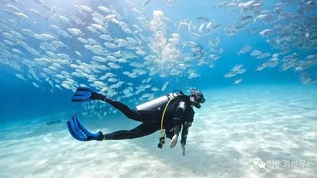 海报|安徽图强