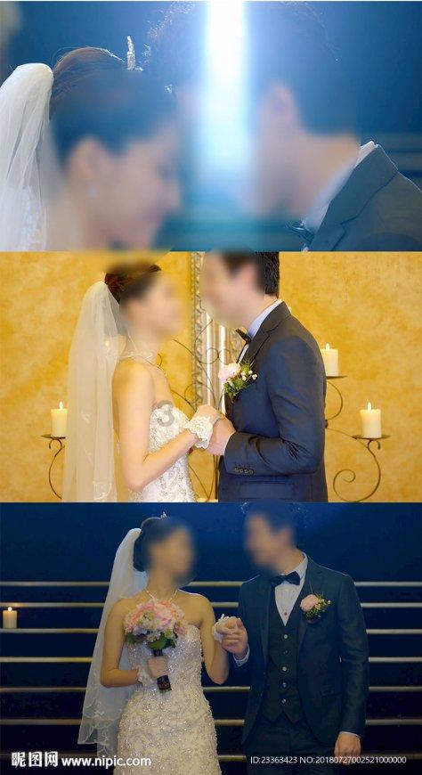 放飞笼中鸟