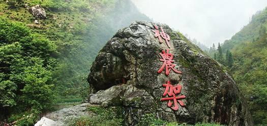 王傲世的梦
