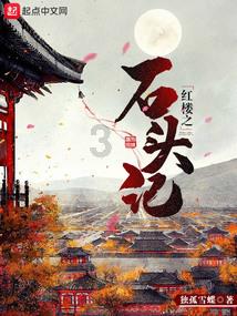 逃离违建房屋3